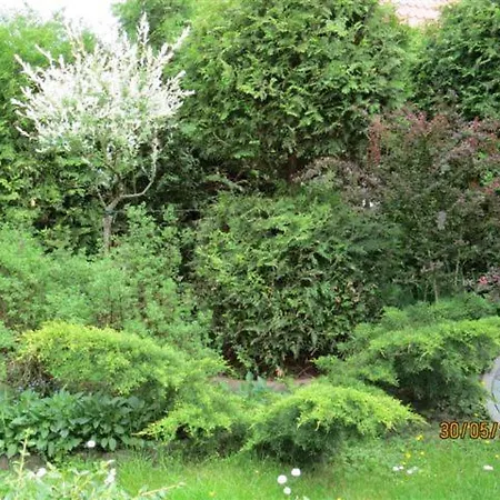 بيت للعطل Cudodomek Na Mazurach W Woszczelach Kolo Elku *