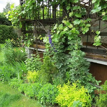 Cudodomek Na Mazurach W Woszczelach Kolo Elku بيت للعطل *