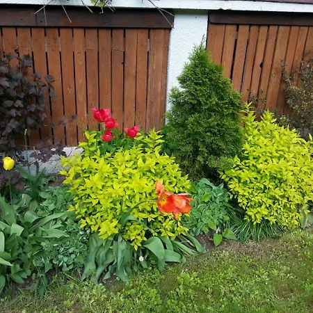 بيت للعطل Cudodomek Na Mazurach W Woszczelach Kolo Elku اوك