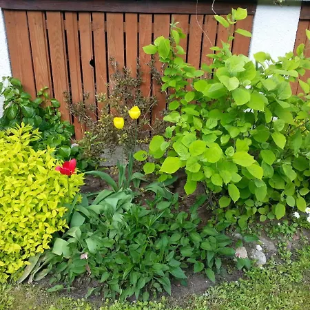 بيت للعطل Cudodomek Na Mazurach W Woszczelach Kolo Elku