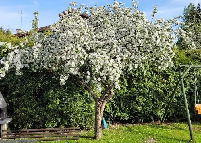 Holiday home Cudodomek Na Mazurach W Woszczelach Kolo Elku Elk