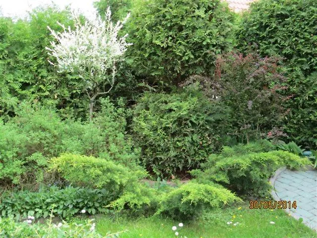 Holiday home Cudodomek Na Mazurach W Woszczelach Kolo Elku *