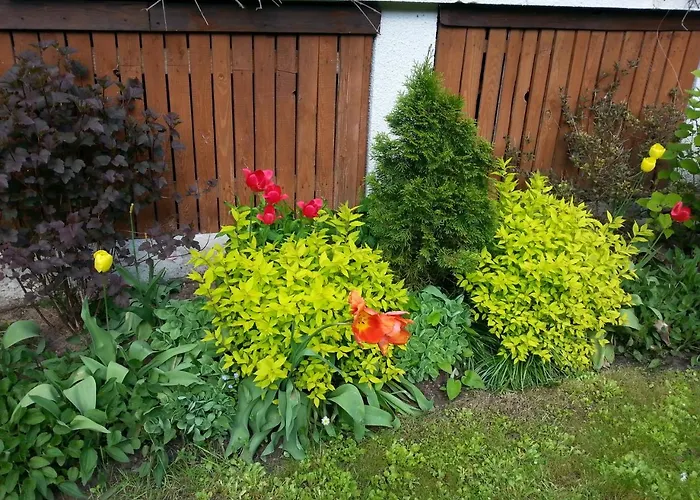 Holiday home Cudodomek Na Mazurach W Woszczelach Kolo Elku Elk