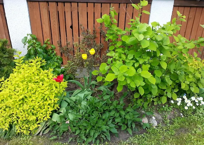 Holiday home Cudodomek Na Mazurach W Woszczelach Kolo Elku